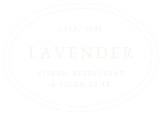 Lavender Uruguay