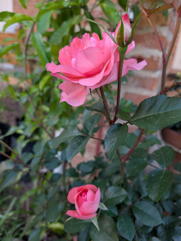 Jardins de France