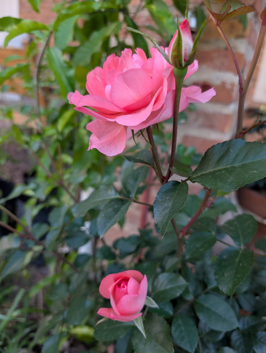 Jardins de France