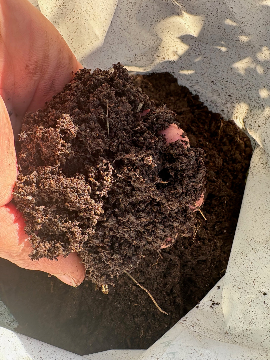 Compost de Champignon grande
